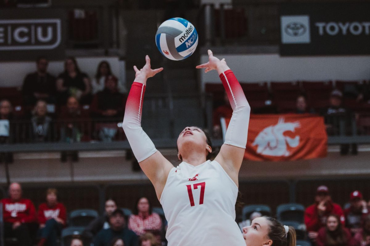 Setter Italia Bernal looks the ball in as she makes a set, Nov. 9, in Pullman, Wash. 