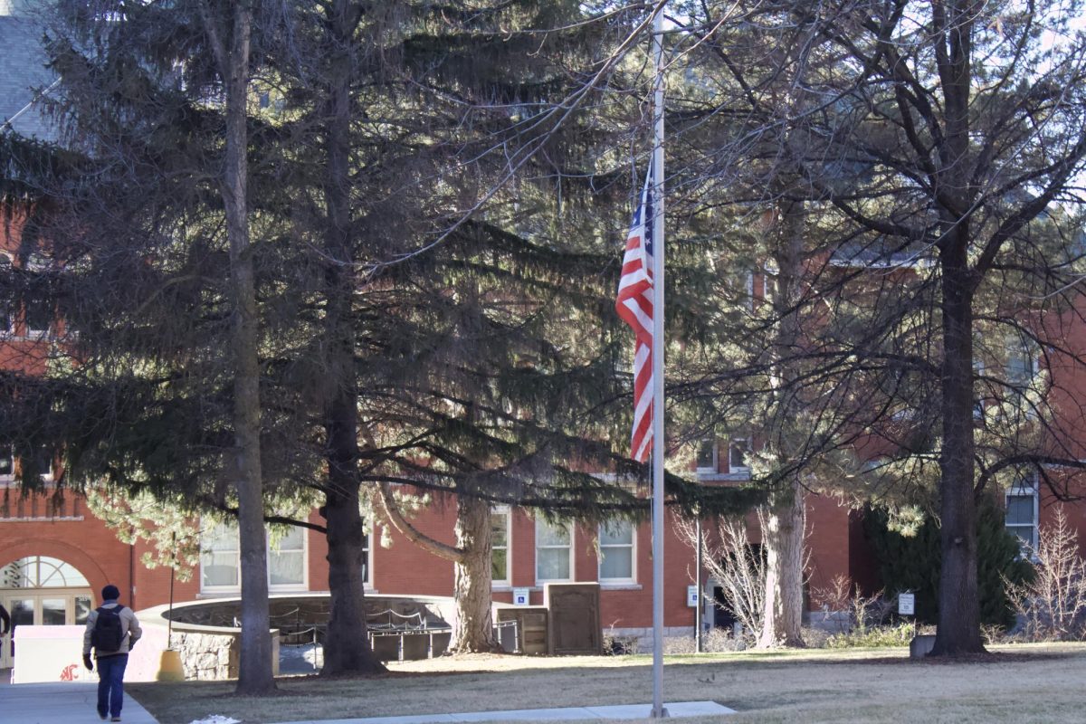 The American flag waves next to the WSU Veterans Memorial.