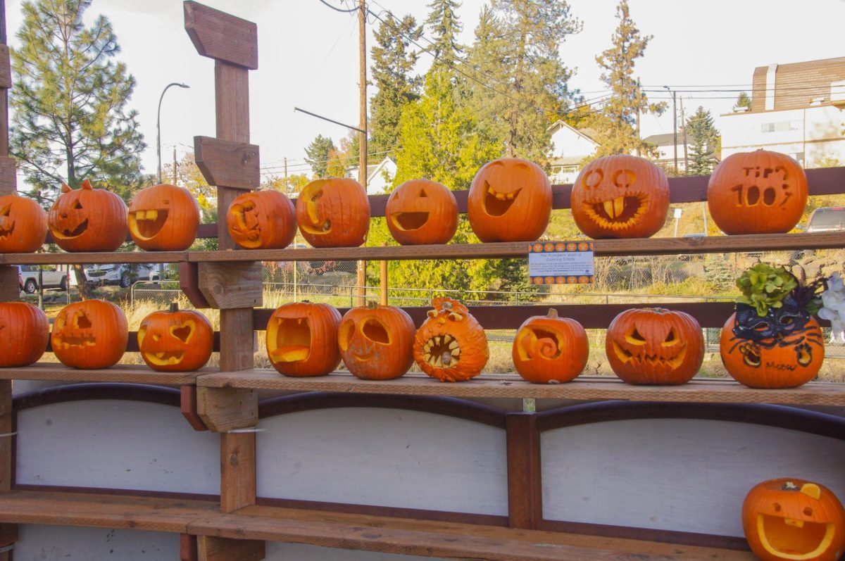 Carved and decorated pumpkins donated to the Pumpkin Wall in Pine Street Plaza, displayed and illuminated until Halloween, Oct. 23.