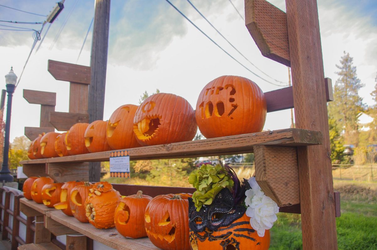 Carved and decorated pumpkins donated to the Pumpkin Wall in Pine Street Plaza, displayed and illuminated until Halloween, Oct. 23.