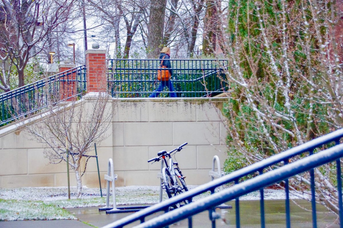 The snow-covered steps leading to Honors Hall, Dec. 1.