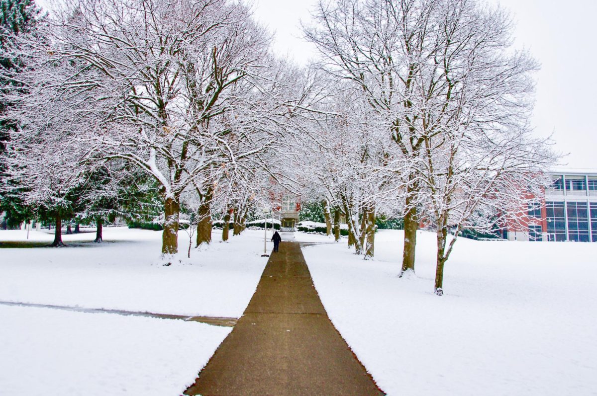 A snow-cleared pathway leading to Thompson Hall, Dec. 2