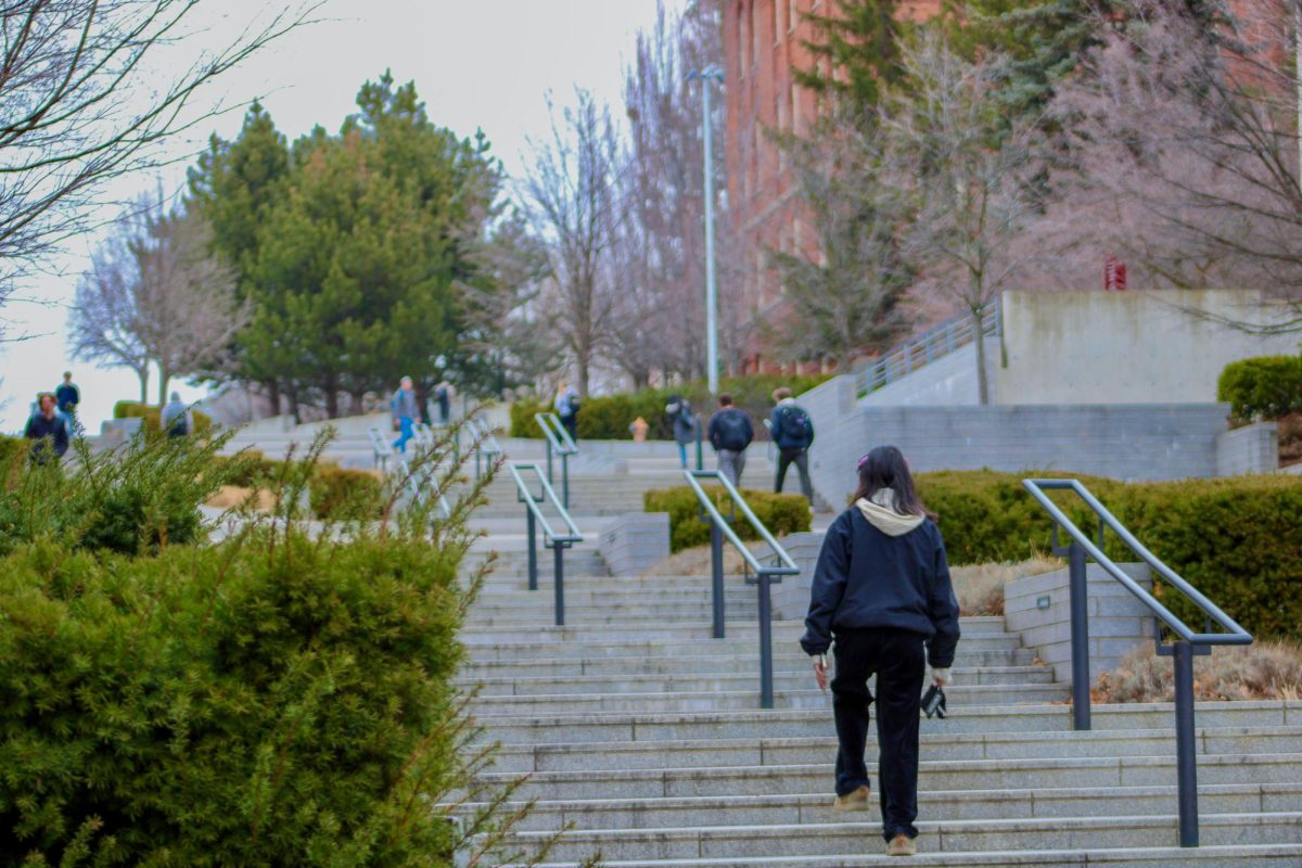 Students walking up Library Mall road on the WSU Pullman campus, Jan. 16, 2026
