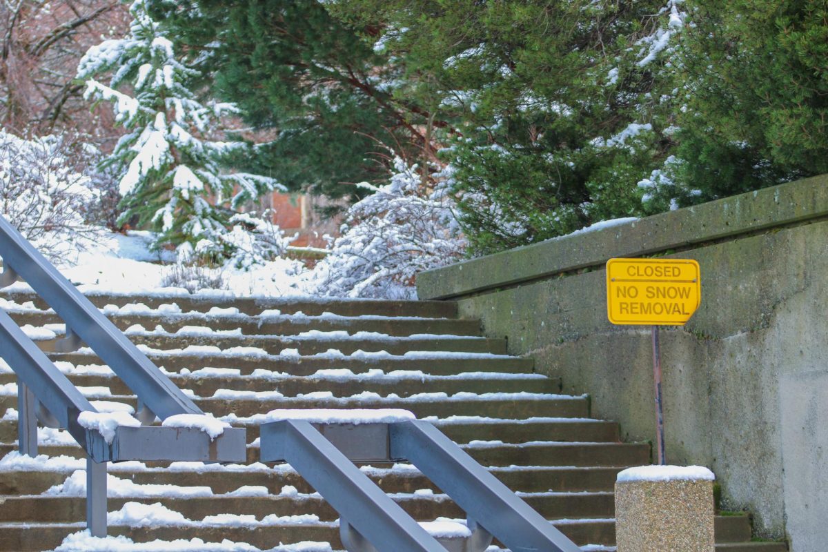 Snow-coated stairs on the WSU Pullman campus, Feb. 17, 2026.
