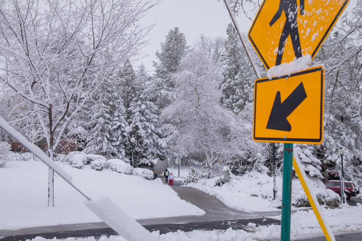 Walkways of the snow-covered WSU Pullman campus, Feb. 18, 2026.