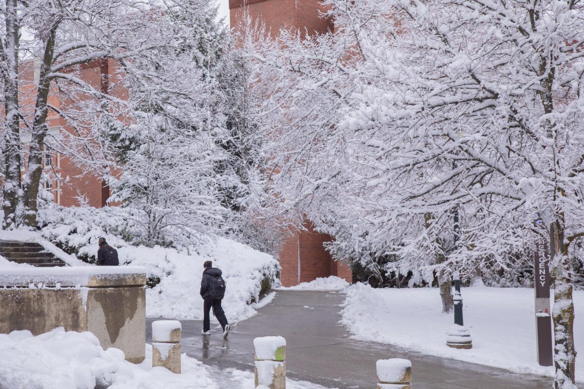 Students trekking the snowy WSU Pullman campus, Feb. 18, 2026.