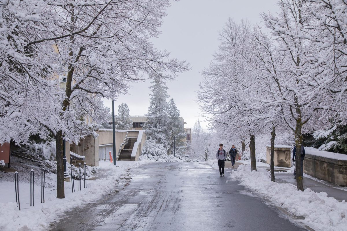 Students walking along Veterans Mall on the snowy WSU Pullman campus, Feb. 17, 2026.