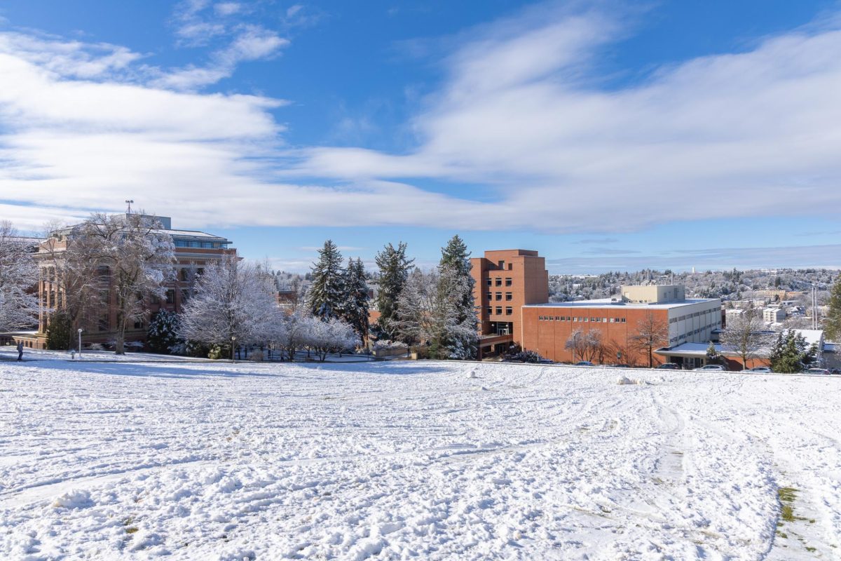The snow-covered Thompson Flats on the WSU Pullman campus, Feb. 17, 2026.