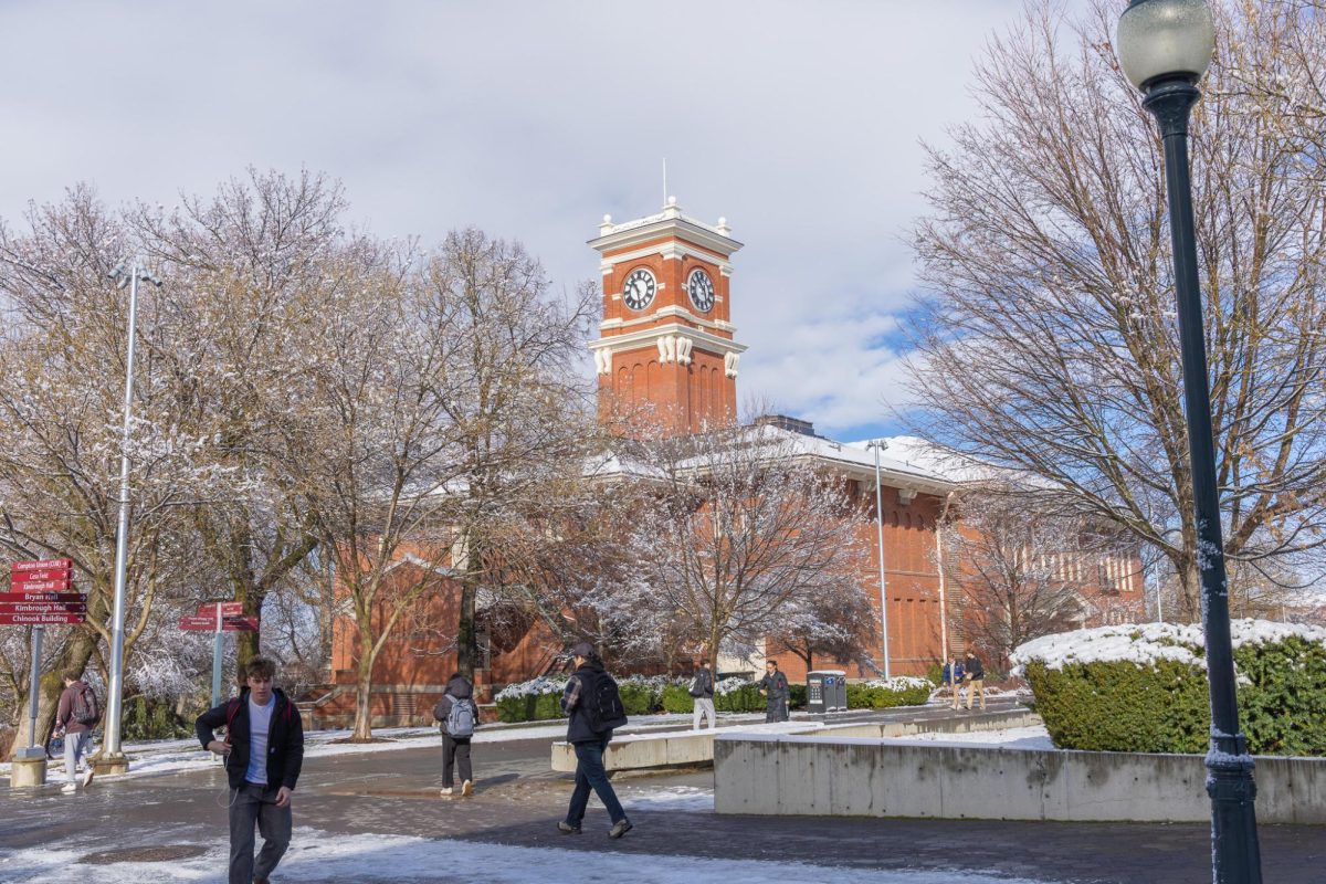 Students trekking the snowy WSU Pullman campus, Feb. 17, 2026.