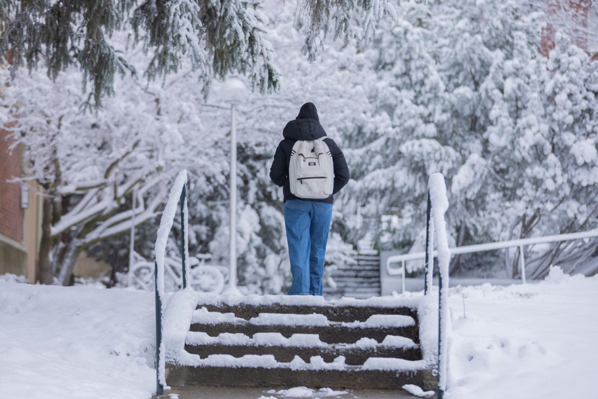 A students trekking a snowy stairway WSU Pullman campus, Feb. 18, 2026.