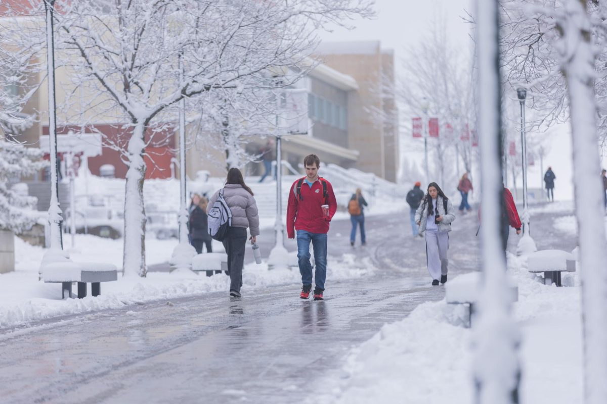 Students traveling along Terrell Mall on the snowy WSU Pullman campus, Feb. 18, 2026.