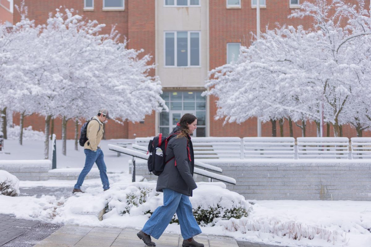 Students traveling down the Library Mall hill on the snowy WSU Pullman campus, Feb. 18, 2026.