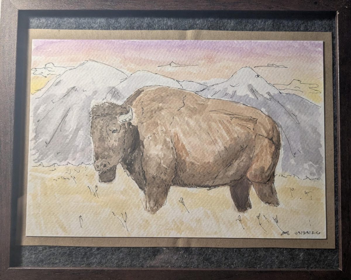 A watercolor piece featuring a buffalo, by Ellie Schoch. 