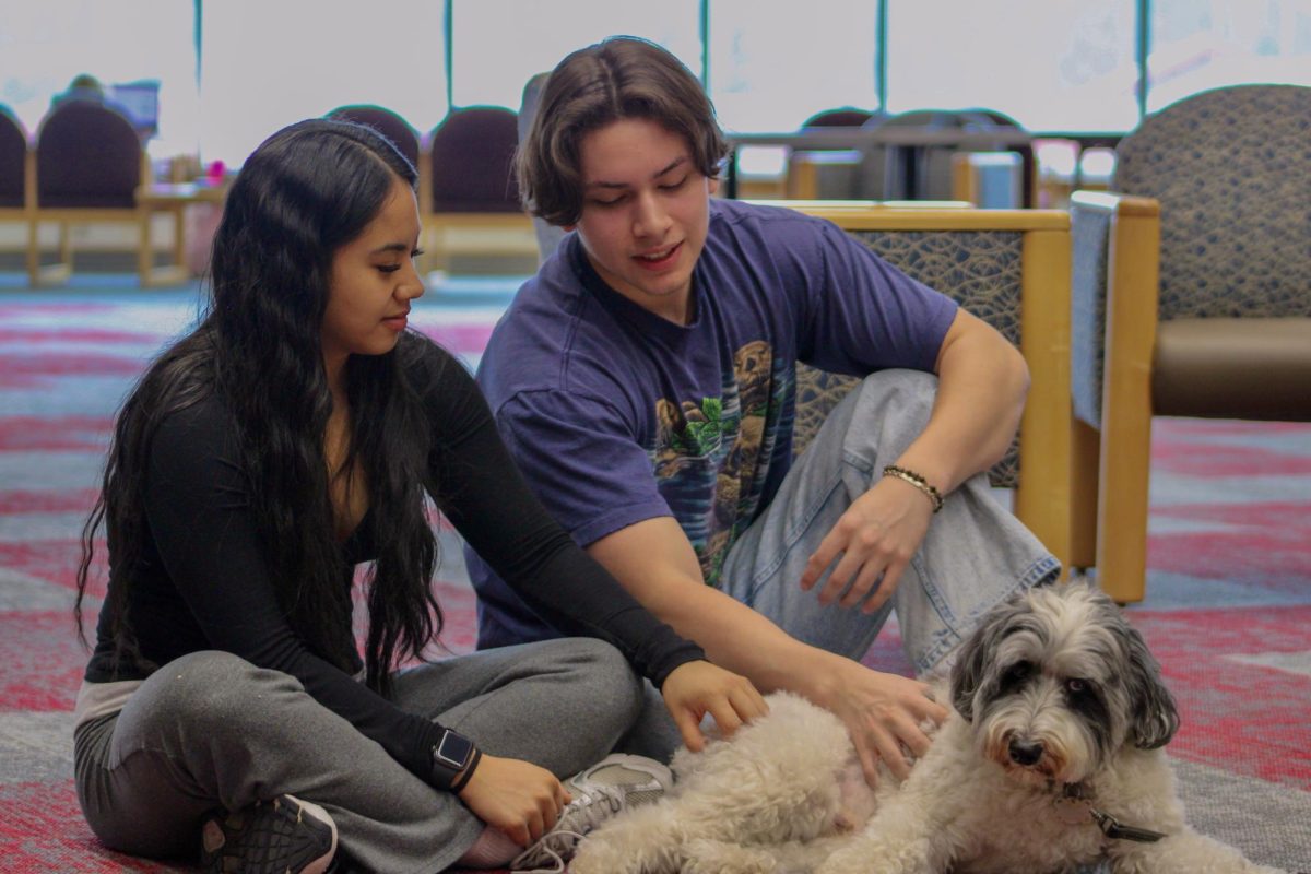 Student petting a therapy dog at the Books & Boops De-Stress event in Terrell Library, April 15, 2026.
