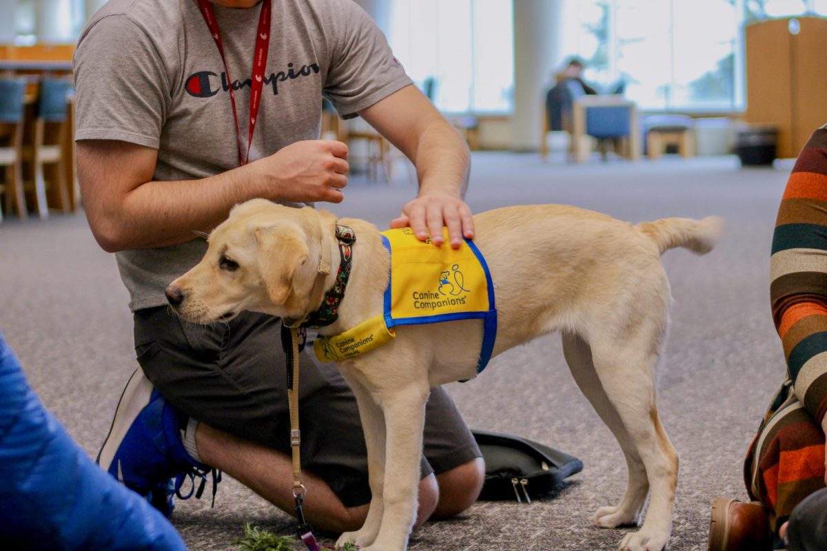 A student petting a therapy dog in-training at the Books & Boops De-Stress event in Terrell Library, April 15, 2026.
