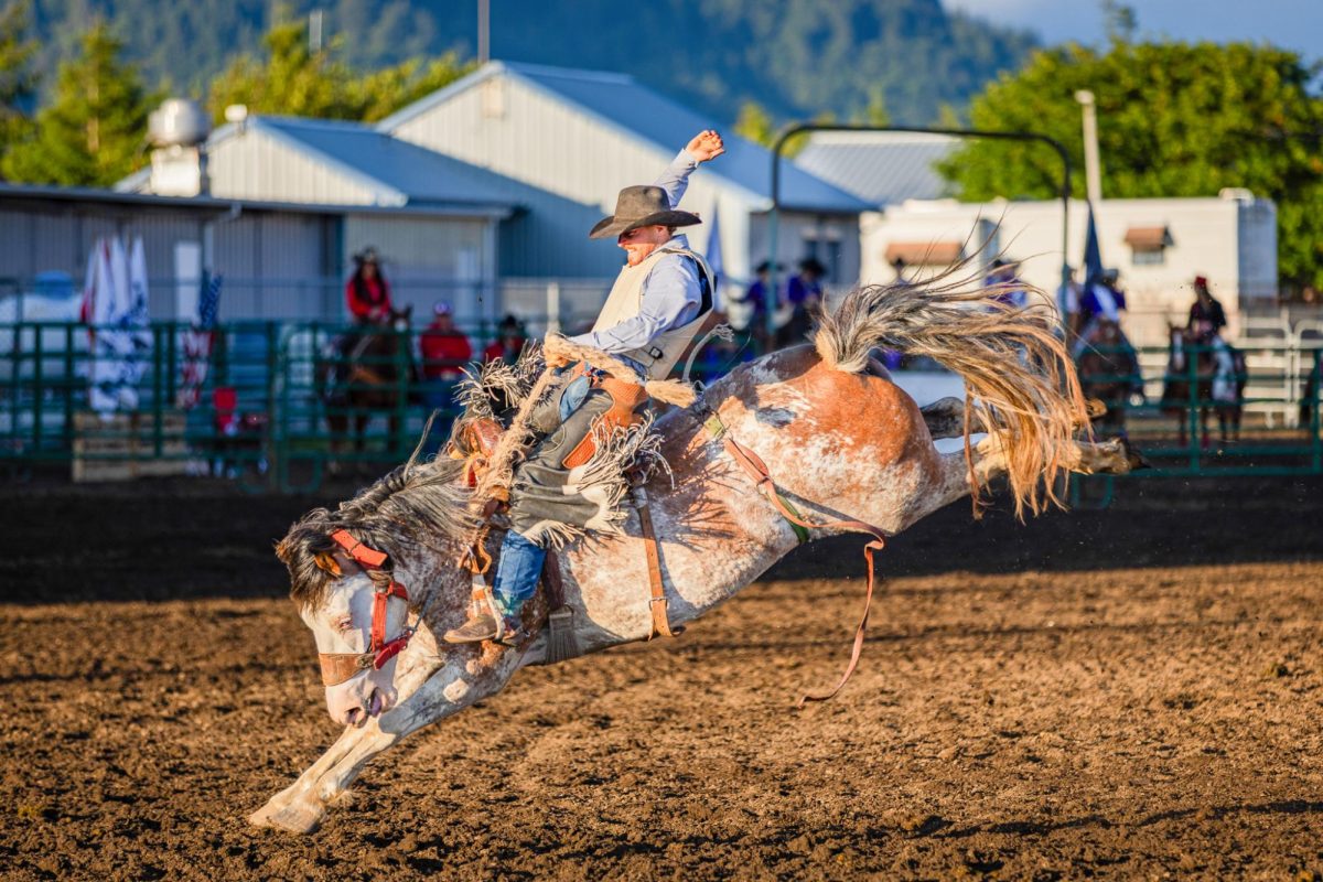Bronco riding at the Tillamook County Fair, June 27, 2025.